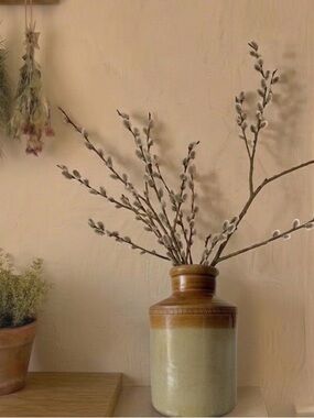 1800s Antique George Skey Wilnecote Tamworth Crock Two-Tone Stoneware Victorian